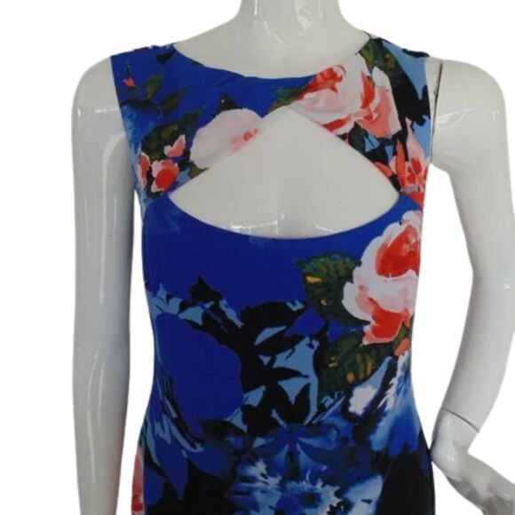 CACHE Dress, L, Blue, Red Floral, Twist neck, Sleeveless, Lined, Back Zip - Picture 2 of 12